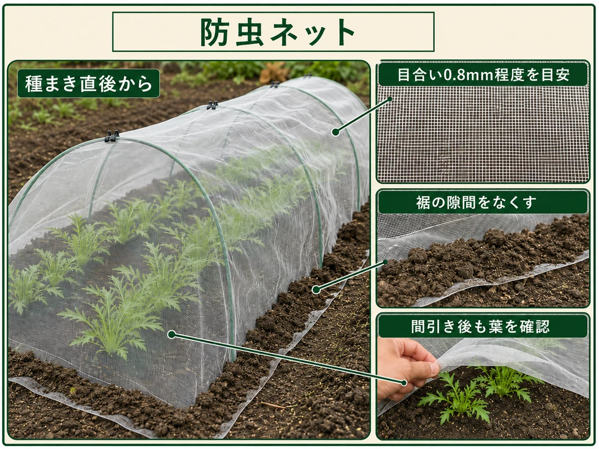 ミズナの種まき直後から0.8mm程度の防虫ネットを掛けて裾を閉じる方法