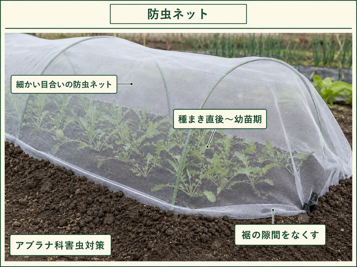 ルッコラの種まき直後から幼苗期に細かい目合いの防虫ネットを掛ける方法